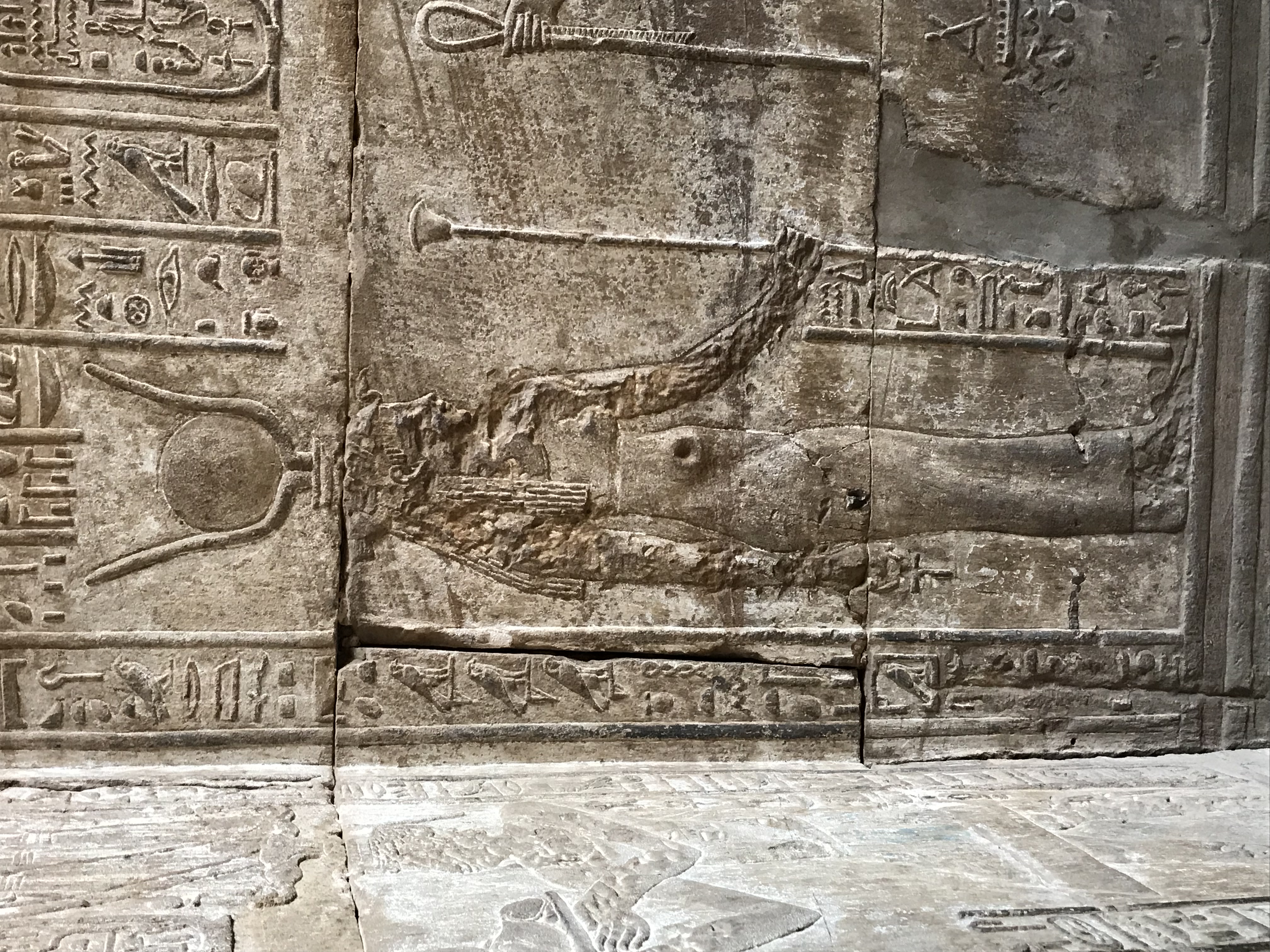 ./2018/16 - Egypt/11 - Edfu/IMG_4121.jpg